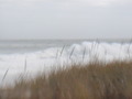Image file: photo05.jpg