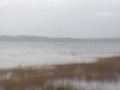 Image file: _1/photo05.jpg