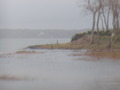 Image file: _1/photo08.jpg