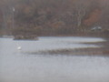Image file: _2/photo20.jpg