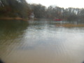 Image file: _2/photo21.jpg