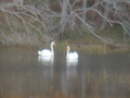 Image file: _2/photo26.jpg