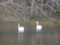 Image file: _2/photo27.jpg