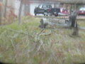 Image file: photo03.jpg