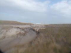 Image file: photo20.jpg