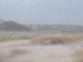 Image file: photo06.jpg