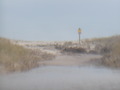Image file: photo09.jpg