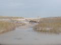Image file: photo12.jpg