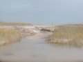 Image file: photo13.jpg