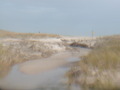 Image file: photo14.jpg