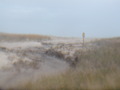 Image file: photo16.jpg