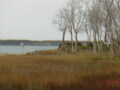 Image file: _1/photo06.jpg