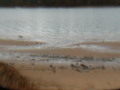 Image file: _1/photo08.jpg