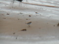Image file: _1/photo11.jpg