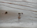Image file: _1/photo12.jpg
