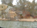 Image file: _1/photo17.jpg