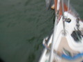 Image file: _2/photo26.jpg
