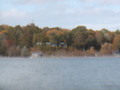 Image file: _2/photo35.jpg