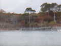 Image file: _2/photo37.jpg