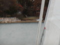 Image file: _2/photo42.jpg