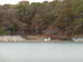 Image file: _2/photo43.jpg