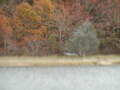 Image file: _3/photo54.jpg