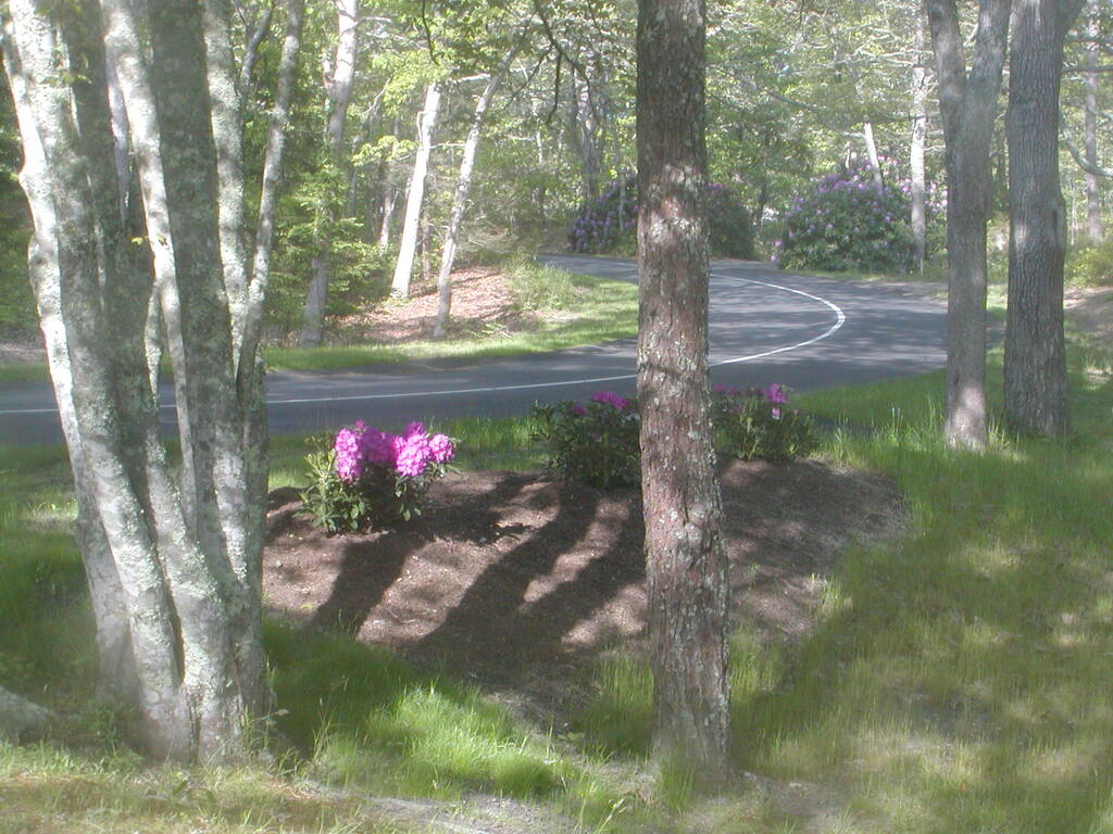 No description provided for: /2012/04-06/0527-rhodies/photo03.html