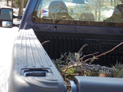 Image file: photo04.jpg