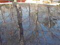 Image file: photo07.jpg