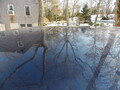 Image file: photo08.jpg