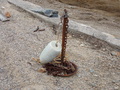 Image file: _1/photo04.jpg