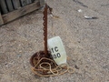 Image file: _1/photo05.jpg