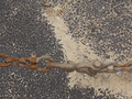 Image file: _1/photo08.jpg