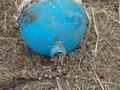 Image file: _1/photo09.jpg