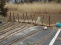 Image file: _1/photo15.jpg