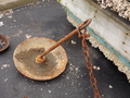 Image file: _1/photo16.jpg