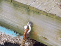 Image file: _1/photo21.jpg