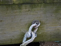 Image file: _1/photo22.jpg