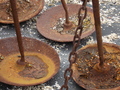 Image file: _2/photo24.jpg
