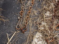 Image file: _2/photo26.jpg