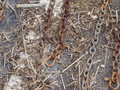 Image file: _2/photo27.jpg