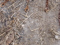 Image file: _2/photo28.jpg