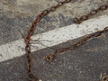 Image file: _2/photo30.jpg