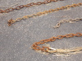 Image file: _2/photo33.jpg