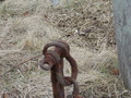 Image file: _2/photo36.jpg