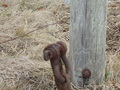 Image file: _2/photo38.jpg