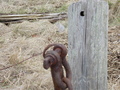 Image file: _2/photo39.jpg