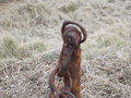 Image file: _2/photo40.jpg