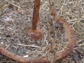 Image file: _2/photo41.jpg