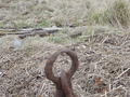 Image file: _2/photo42.jpg